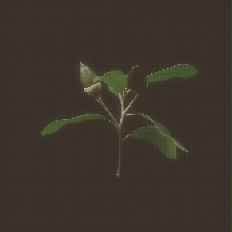 original_fb0960023cb73cf5241feaf22755e56e